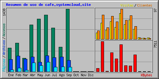 Resumen de uso de cafe.systemcloud.site