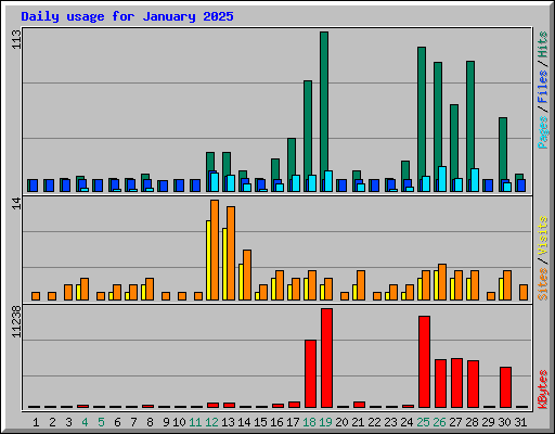 Daily usage for January 2025
