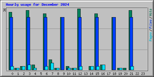 Hourly usage for December 2024