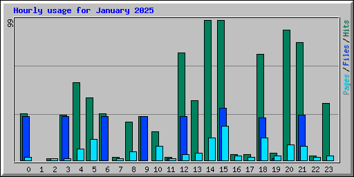 Hourly usage for January 2025