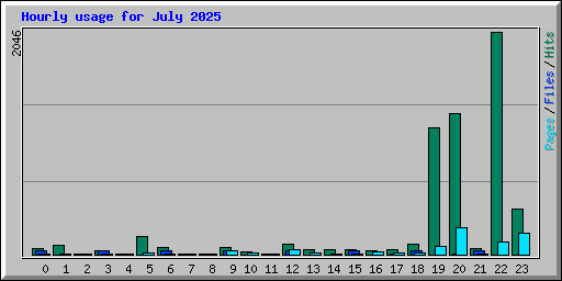 Hourly usage for July 2025