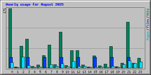 Hourly usage for August 2025