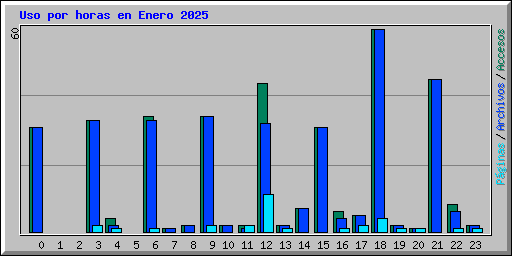 Uso por horas en Enero 2025