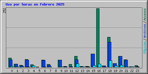 Uso por horas en Febrero 2025