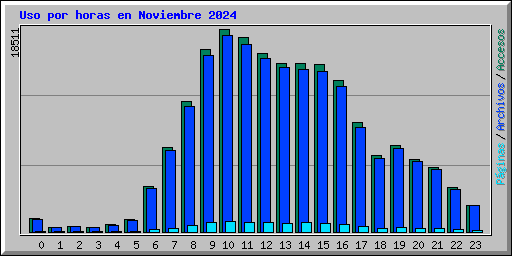 Uso por horas en Noviembre 2024