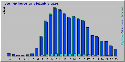 Uso por horas en Diciembre 2024