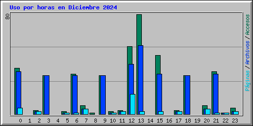 Uso por horas en Diciembre 2024