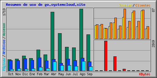 Resumen de uso de go.systemcloud.site