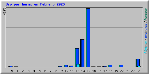 Uso por horas en Febrero 2025