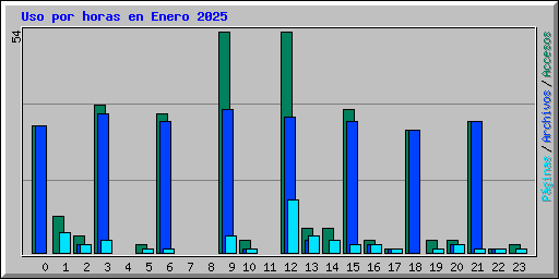 Uso por horas en Enero 2025