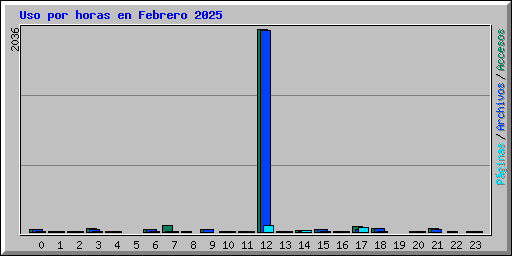 Uso por horas en Febrero 2025
