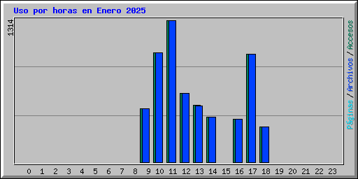 Uso por horas en Enero 2025