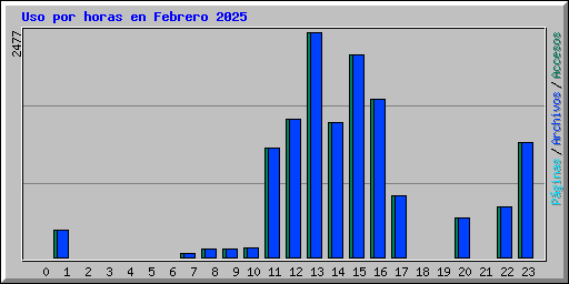 Uso por horas en Febrero 2025
