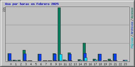 Uso por horas en Febrero 2025