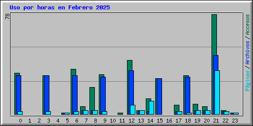 Uso por horas en Febrero 2025