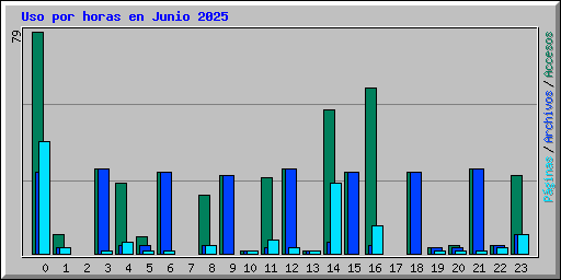 Uso por horas en Junio 2025