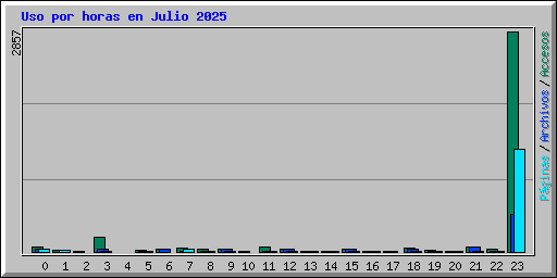 Uso por horas en Julio 2025