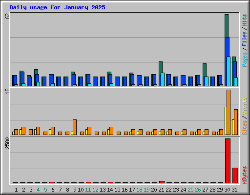 Daily usage for January 2025