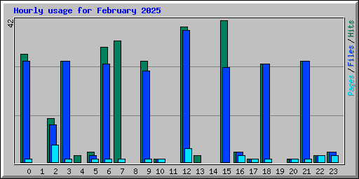 Hourly usage for February 2025