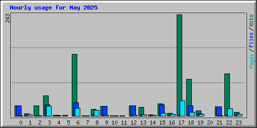 Hourly usage for May 2025