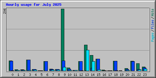 Hourly usage for July 2025