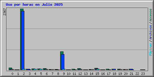 Uso por horas en Julio 2025
