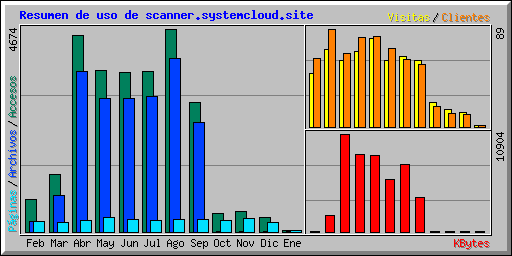 Resumen de uso de scanner.systemcloud.site