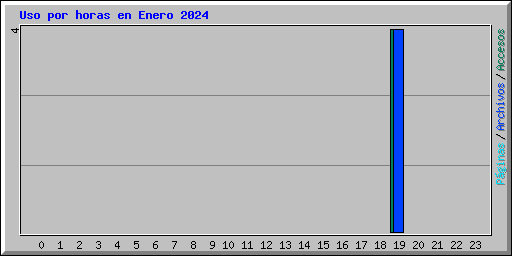 Uso por horas en Enero 2024