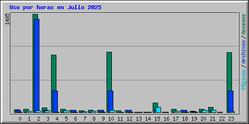 Uso por horas en Julio 2025