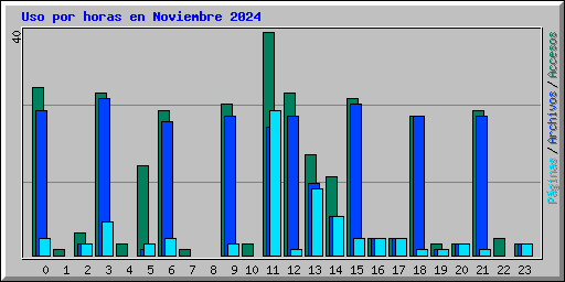 Uso por horas en Noviembre 2024