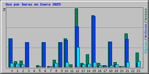 Uso por horas en Enero 2025