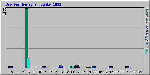 Uso por horas en Junio 2025