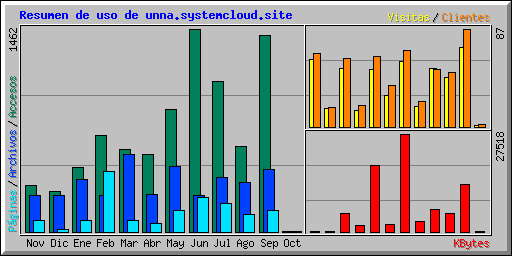 Resumen de uso de unna.systemcloud.site