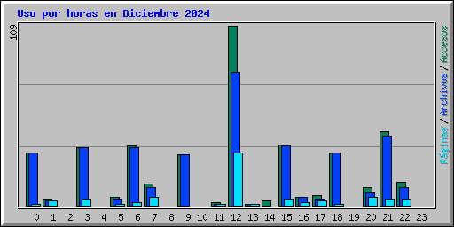 Uso por horas en Diciembre 2024