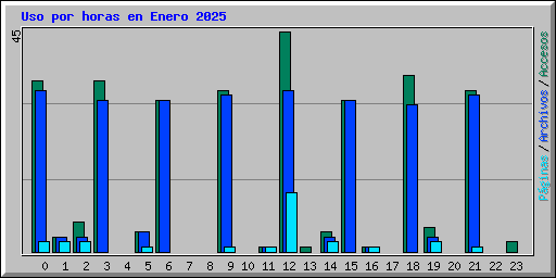 Uso por horas en Enero 2025