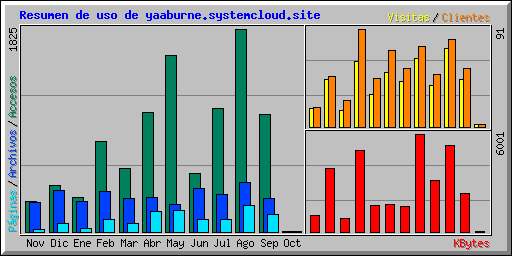 Resumen de uso de yaaburne.systemcloud.site
