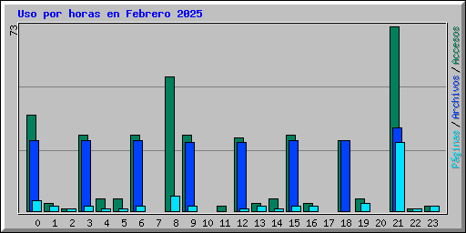 Uso por horas en Febrero 2025